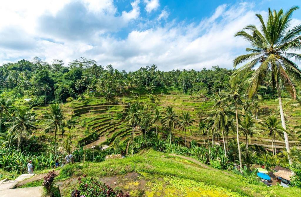 Caldera Hotel & Restaurant BALI Esterno foto